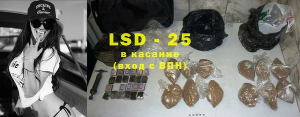 прущие грибы Покровск