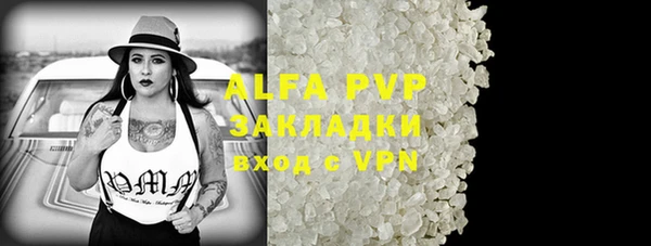 прущие грибы Покровск