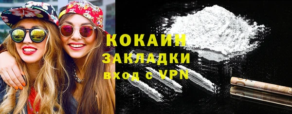 прущие грибы Покровск
