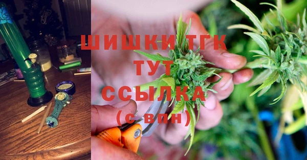 ГАЛЛЮЦИНОГЕННЫЕ ГРИБЫ Покачи