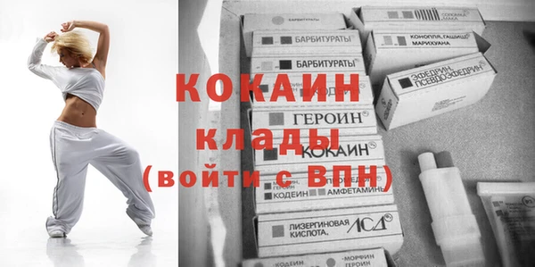 прущие грибы Покровск