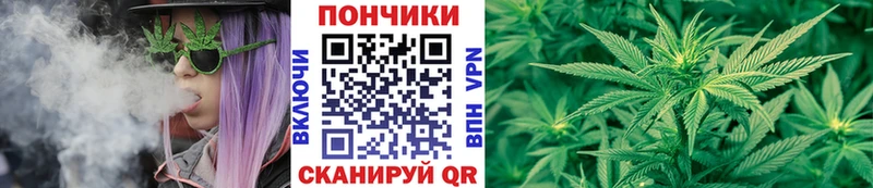 Бошки марихуана THC 21%  площадка наркотические препараты  Судогда  дарнет шоп 